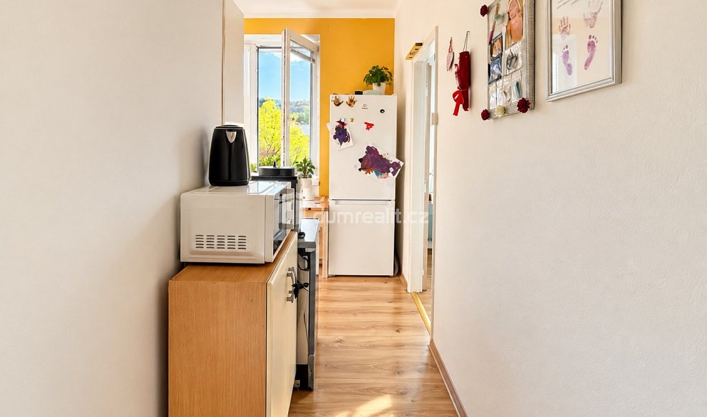 Pronájem bytu 2+1 51 m², Ústí nad Labem – náhled fotky 5