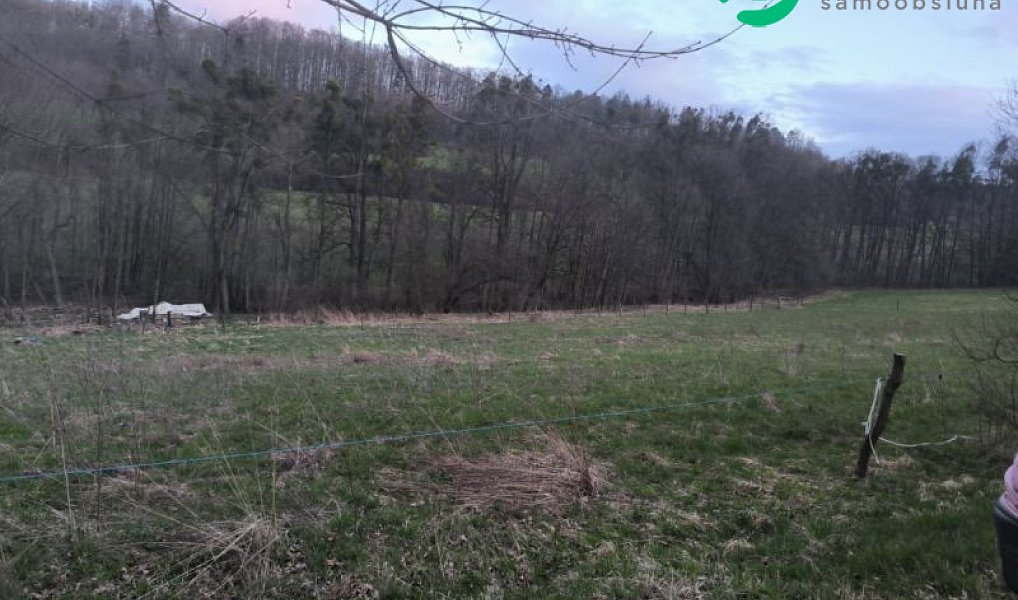 Prodej zahrady 7 800 m², Nový Jičín – náhled fotky 3