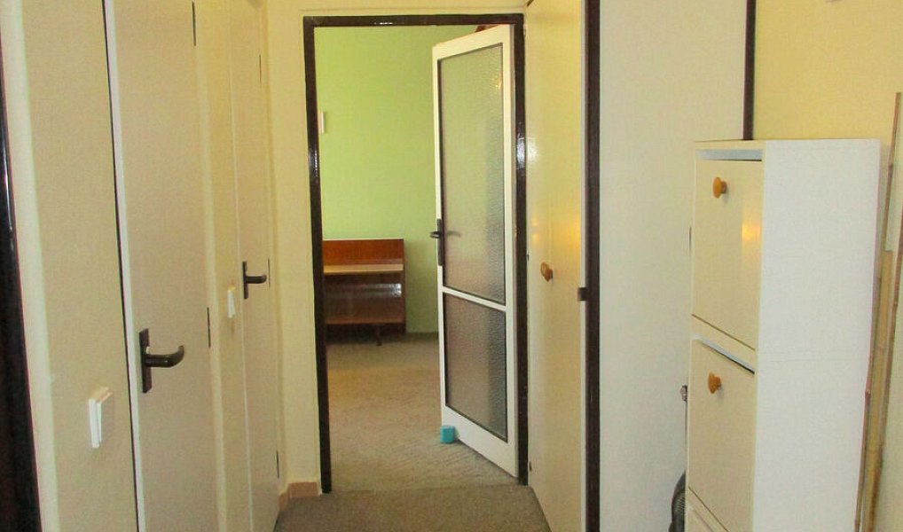Pronájem bytu 2+1 55 m², Veselí nad Moravou – náhled fotky 16