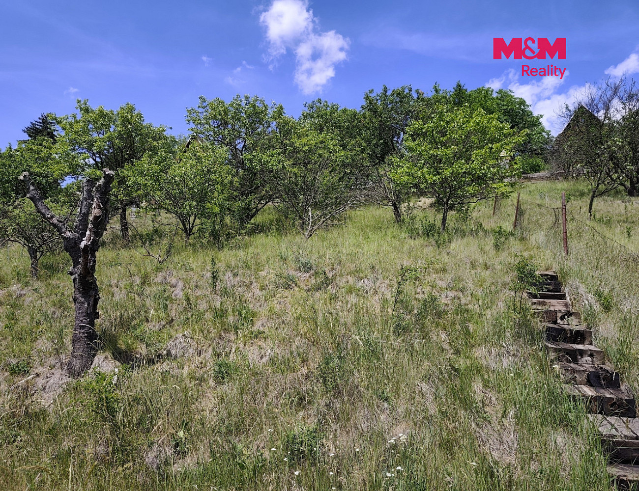 Fotka 15 z 17