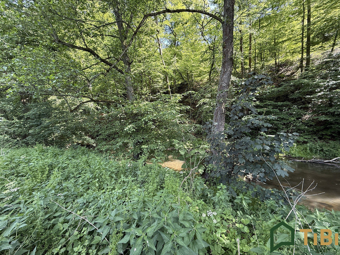 Prodej louky 3 200 m² – fotografie 2