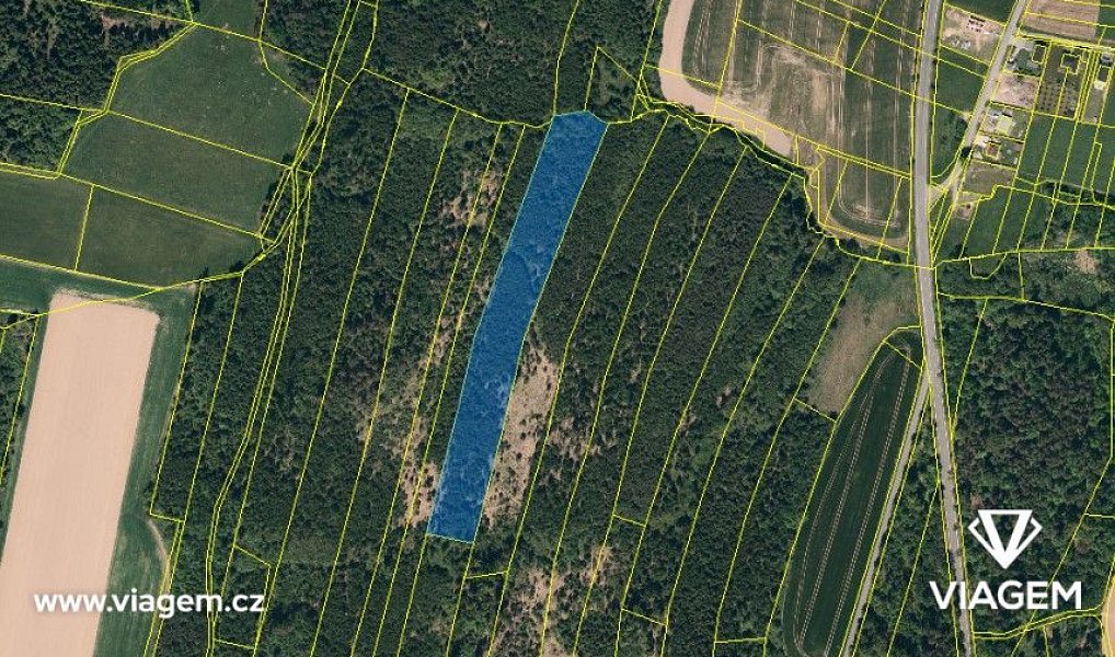 Prodej lesa 15 886 m², Březová – náhled fotky 2