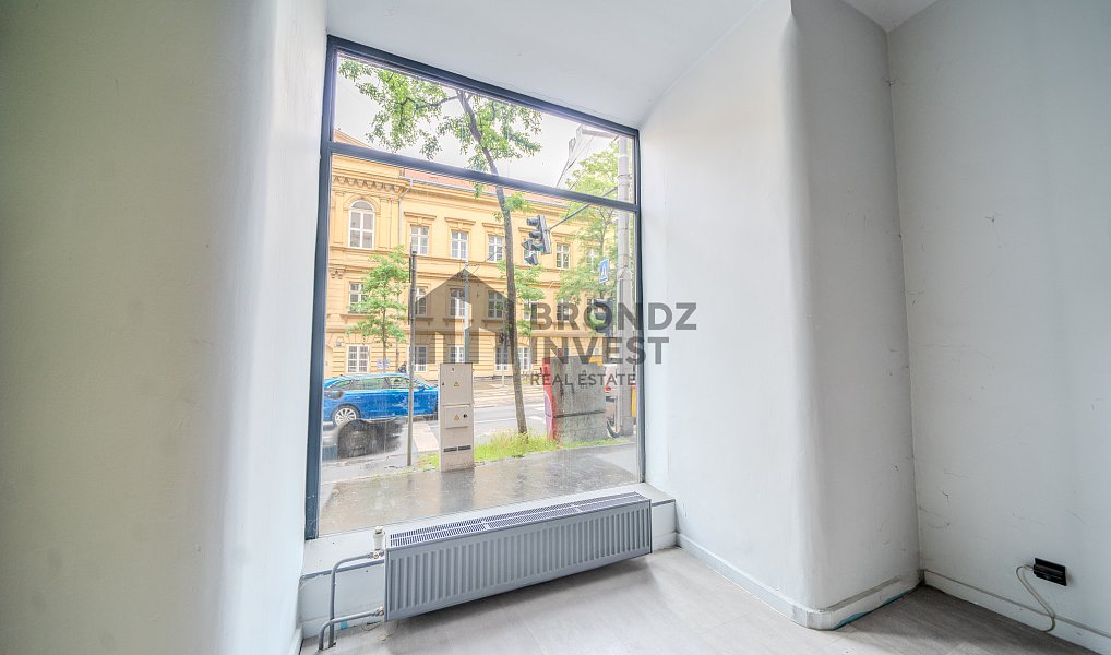 Pronájem obchodních prostor 253 m², Praha – náhled fotky 13