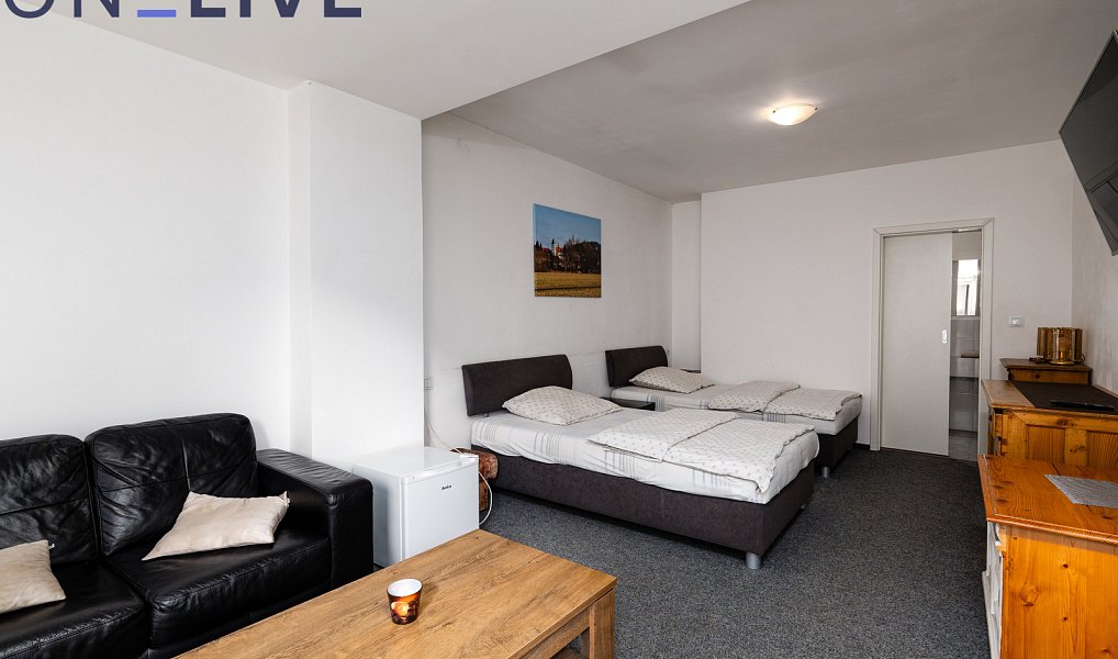 Prodej ubytovacího objektu 480 m², Starý Plzenec – náhled fotky 7