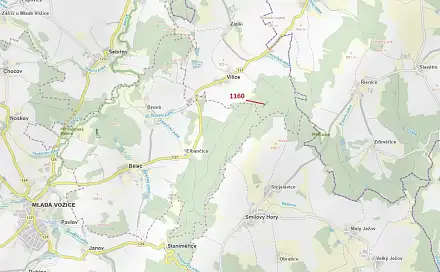Dražba lesa 2 693 m², Vilice