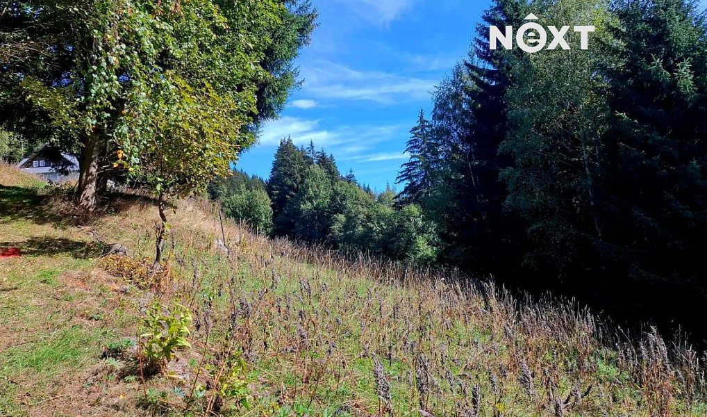 Prodej stavebního pozemku 4 273 m², Pec pod Sněžkou – náhled fotky 10