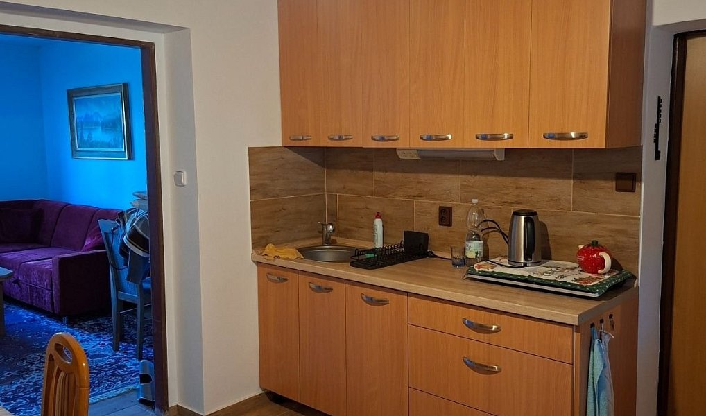 Prodej chaty/chalupy 71 m² s pozemkem 300 m², Janovice – náhled fotky 9