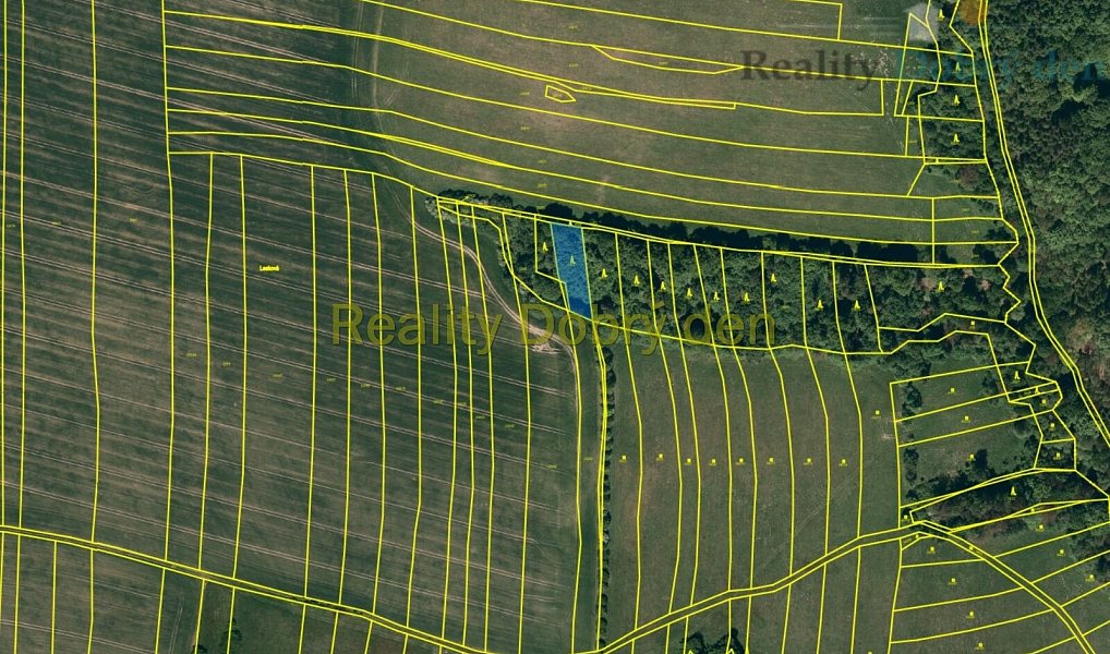 Prodej lesa 1 839 m², Hradec nad Moravicí – náhled fotky 2