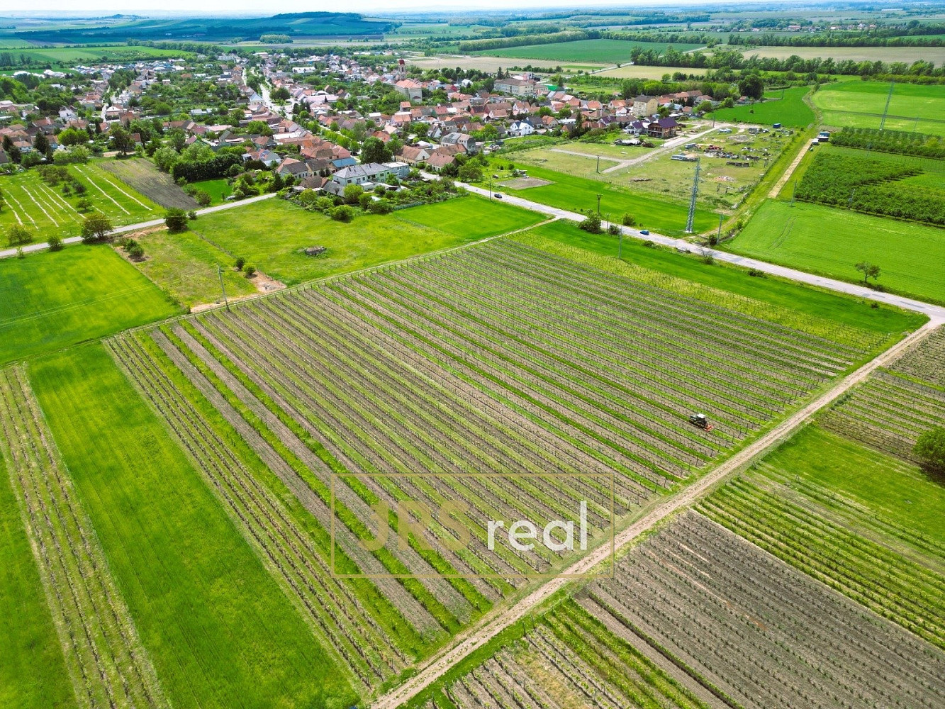 Prodej pole 4 926 m² – fotografie 4