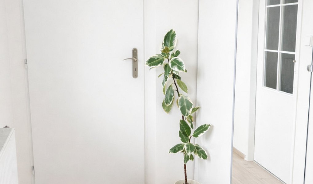 Prodej domu 150 m² s pozemkem 1 146 m², Hnojice – náhled fotky 11