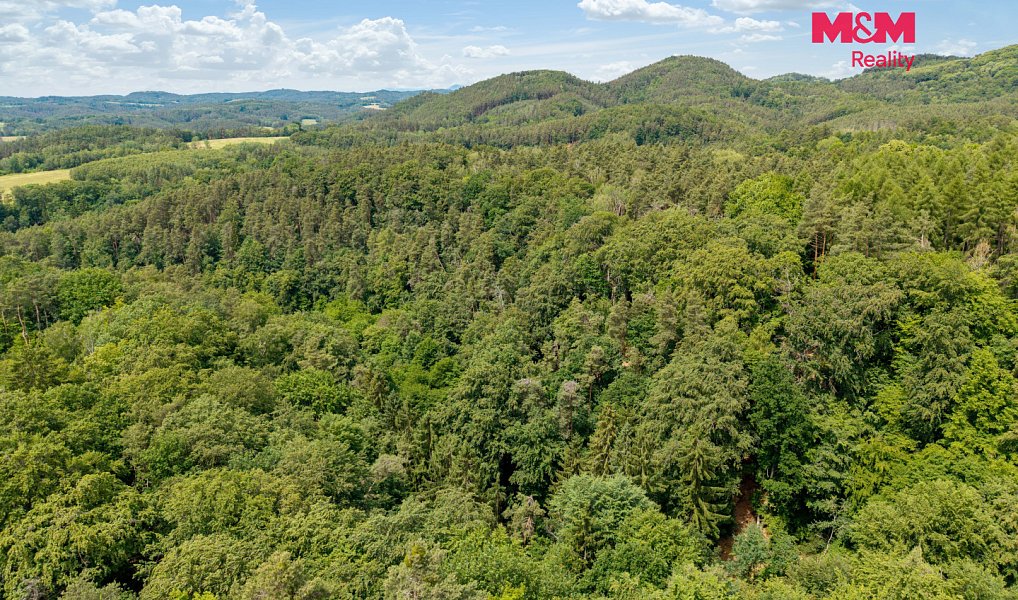 Prodej louky 13 358 m², Nosálov – náhled fotky 16