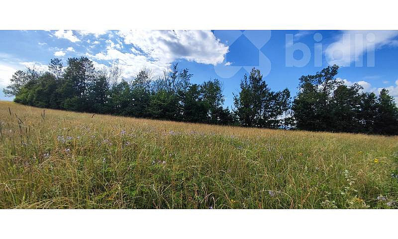 Prodej domu 120 m² s pozemkem 1 437 m² — photo 4