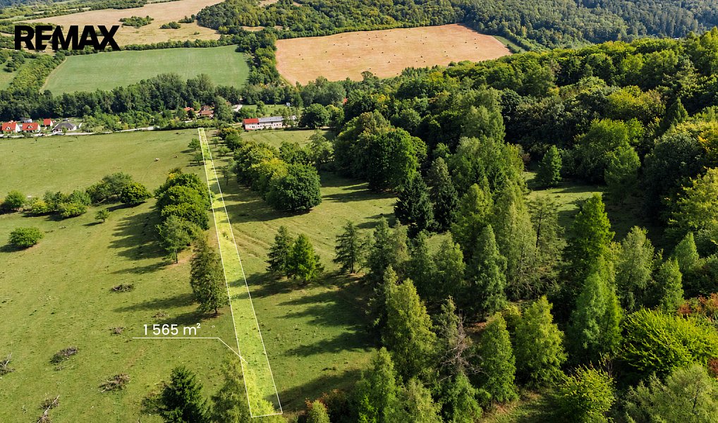 Prodej pole 22 934 m², Javorník – náhled fotky 14