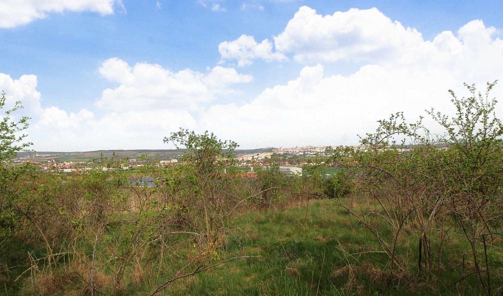 Prodej pozemku 16 843 m², Znojmo – náhled fotky 3