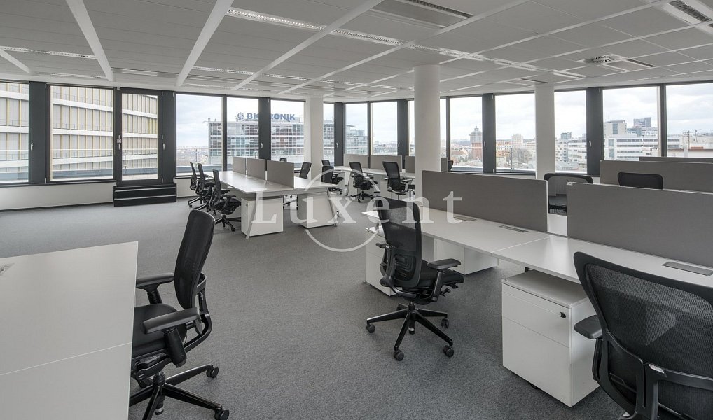 Pronájem kanceláře 500 m², Praha – náhled fotky 6