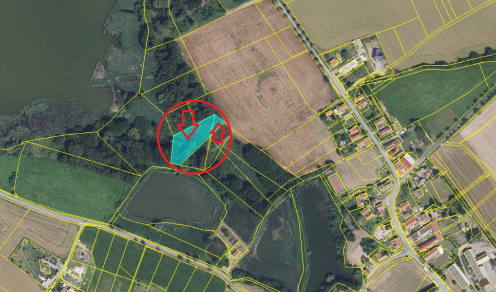 Prodej lesa 2 036 m², Vračovice-Orlov – náhled fotky 2