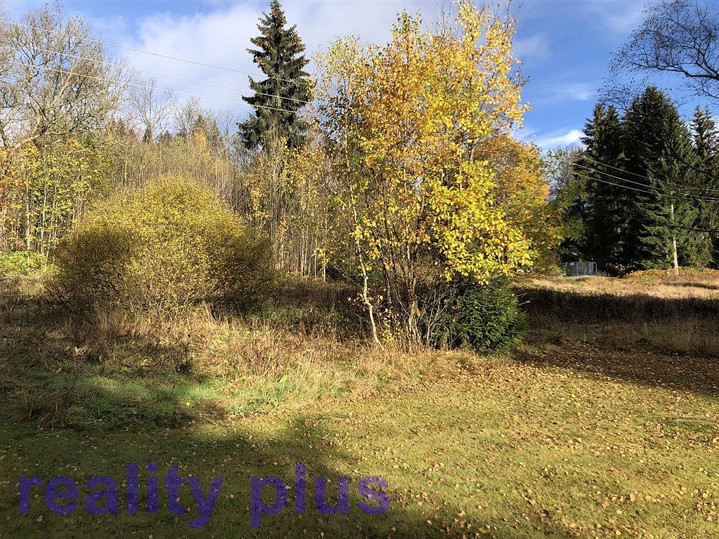 Prodej louky 3 963 m² – fotografie 2