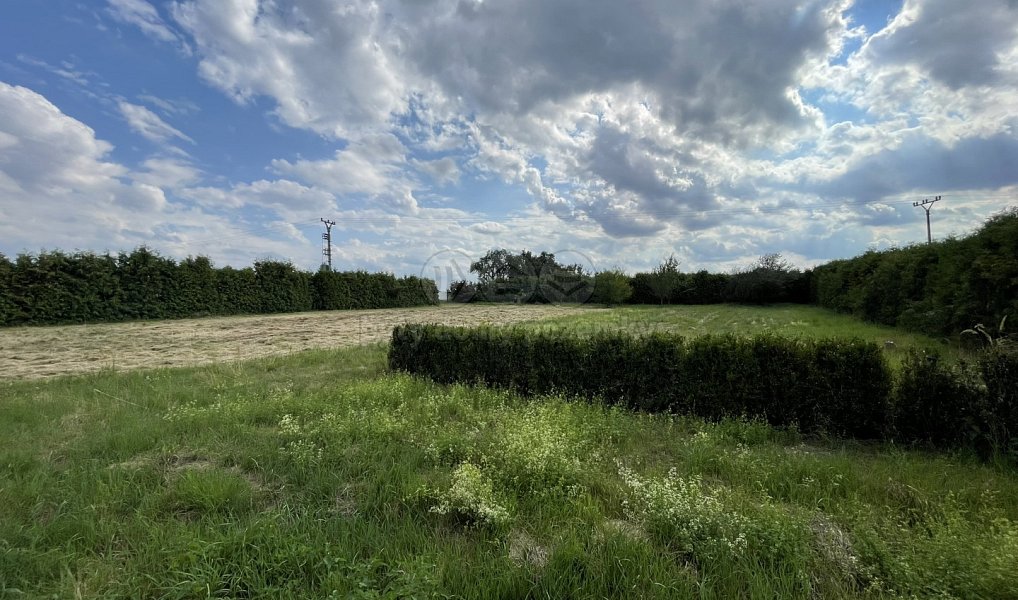 Prodej stavebního pozemku 2 095 m², Kbel – náhled fotky 8