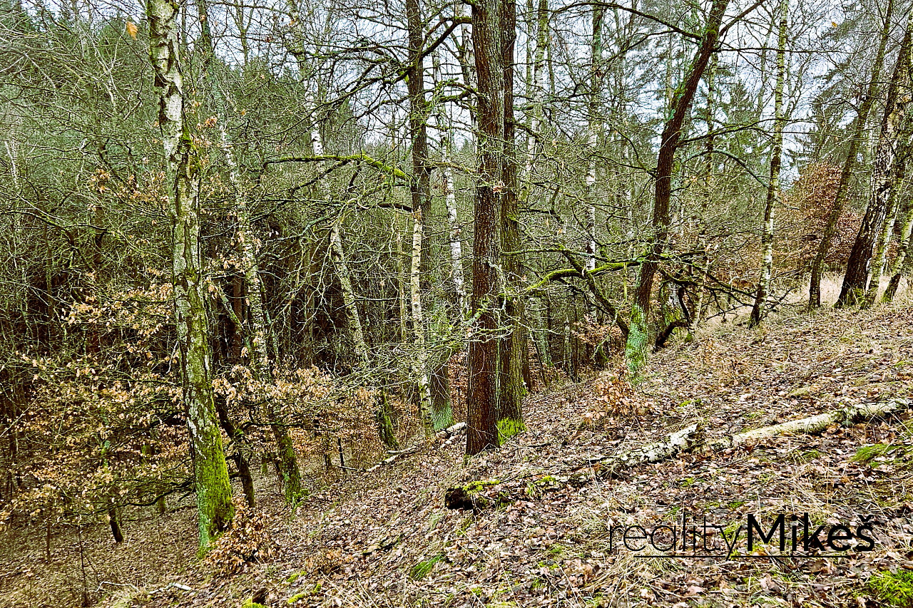 Prodej louky 4 569 m² – fotografie 4