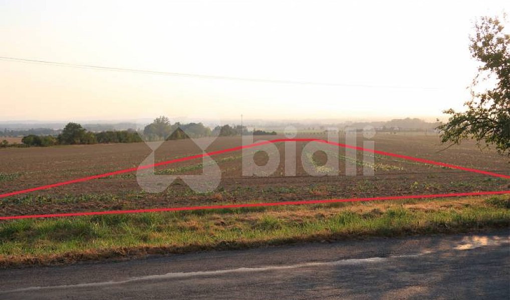 Prodej pole 3 030 m², Bělkovice-Lašťany – náhled fotky 3