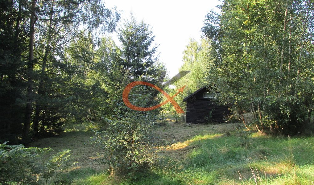Prodej pozemku 4 310 m², Prostřední Bečva – náhled fotky 3