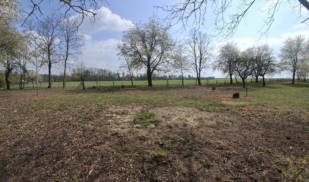Prodej stavebního pozemku 2 666 m², Jenišovice – náhled fotky 12