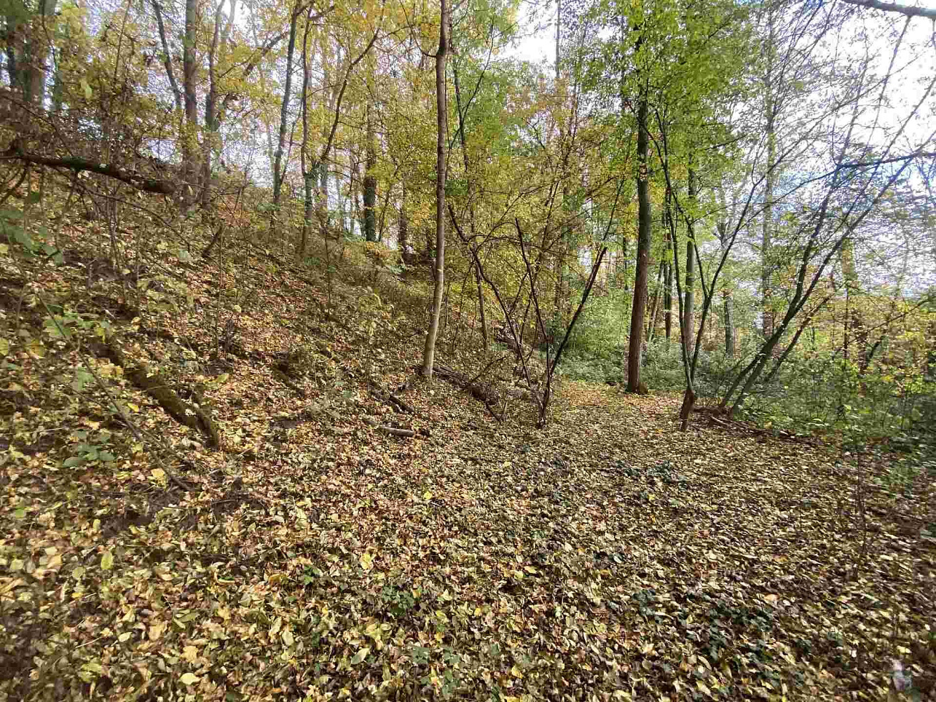 Prodej pozemku 2 639 m² – pohled 3