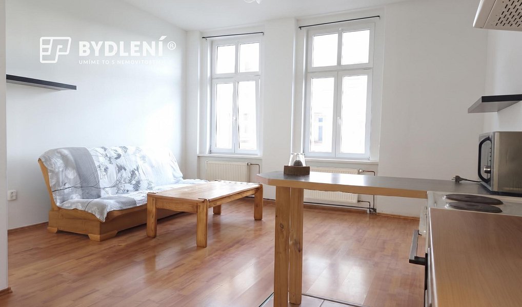 Pronájem bytu 1+1 48 m², Teplice – náhled fotky 8