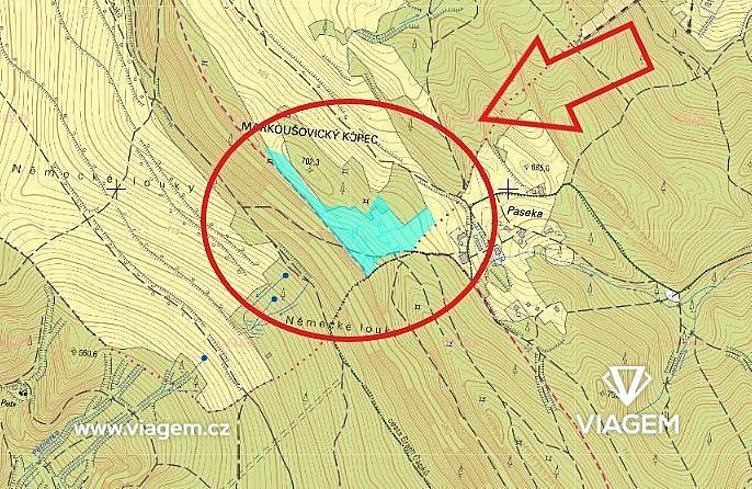 Pole 33 741 m², Podíl 11 % o výměře 3 749 m² – pohled 3