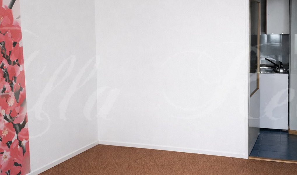 Pronájem bytu 1+1 35 m², Brno – náhled fotky 2