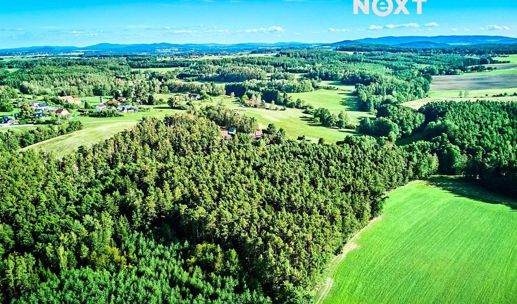 Prodej lesa 13 404 m², Hradce – náhled fotky 16