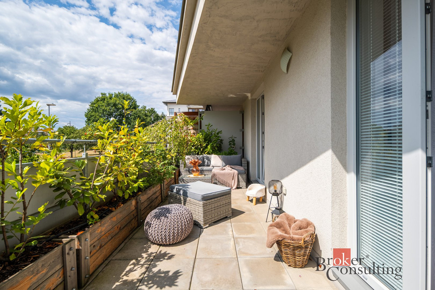 Fotka 15 z 21