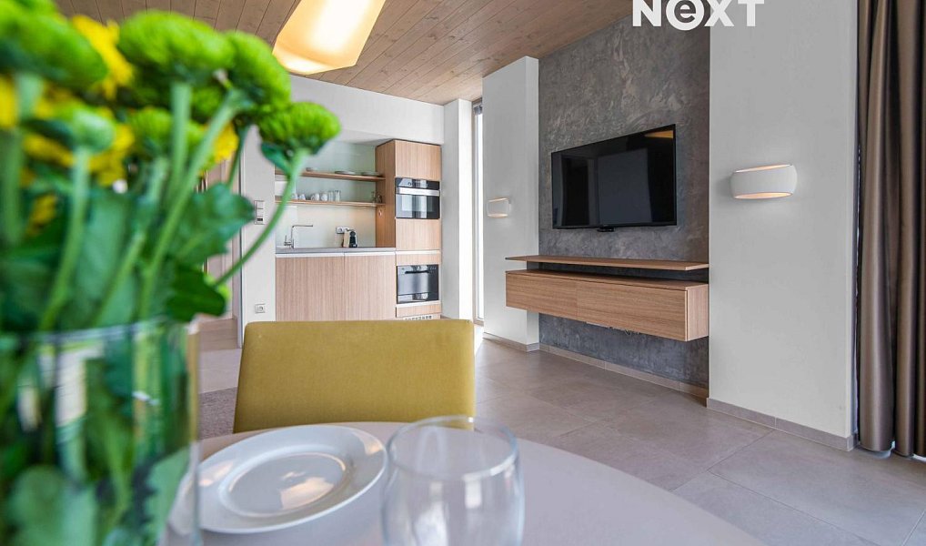 Prodej bytu 2+kk 52 m², Mladé Buky – náhled fotky 7