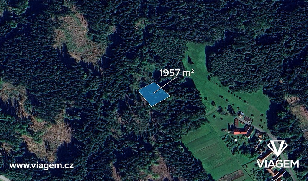 Prodej lesa 1 467 m², Vyklantice – náhled fotky 2