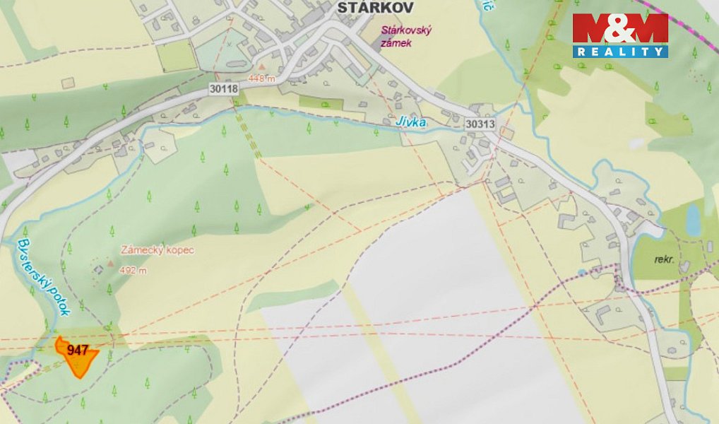 Prodej louky 1 899 m², Stárkov – náhled fotky 4