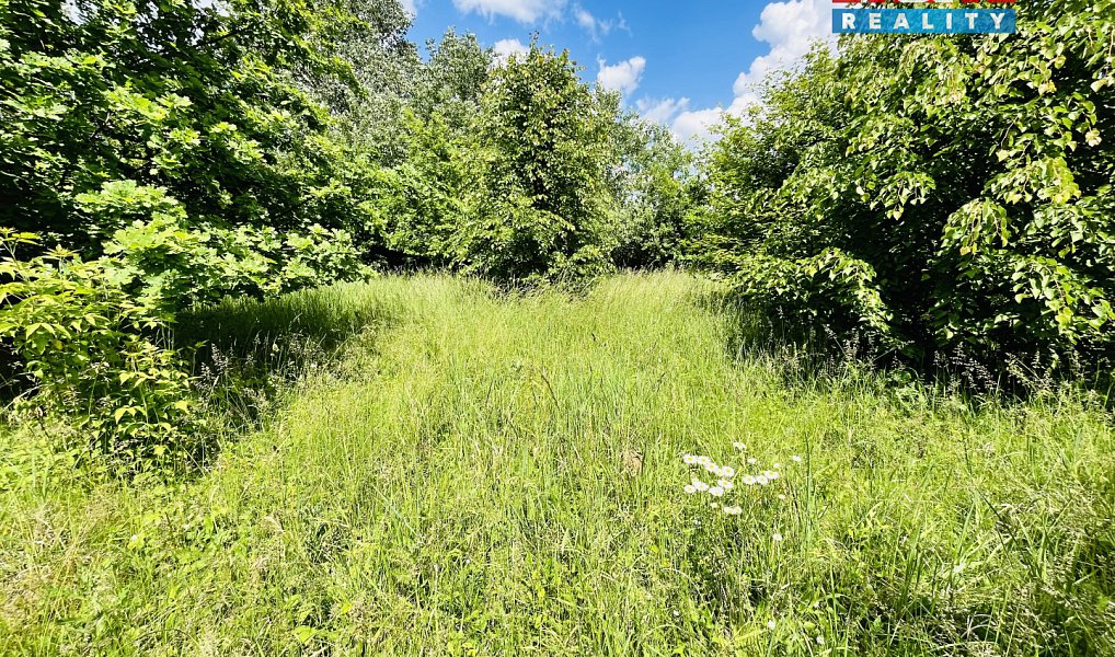 Prodej pozemku 1 026 m², Veselí nad Moravou – náhled fotky 8