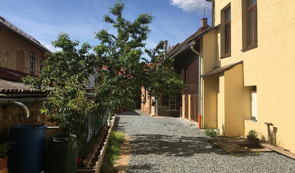 Pronájem bytu 1+kk 18 m², Rakovník – náhled fotky 8