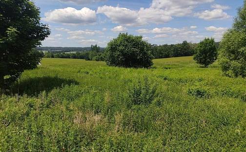 Prodej stavebního pozemku 838 m², Bechyně, okres Tábor