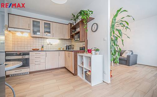 Prodej bytu 3+1 72 m², Holíkova, Jílové u Prahy, okres Praha-západ