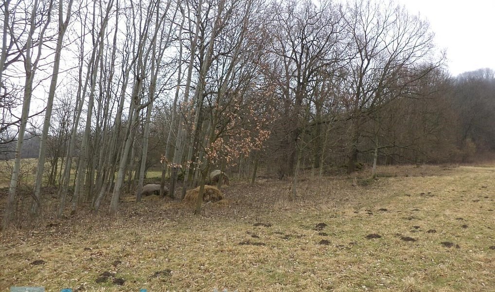 Prodej pole 5 161 m², Česká Kamenice – náhled fotky 3
