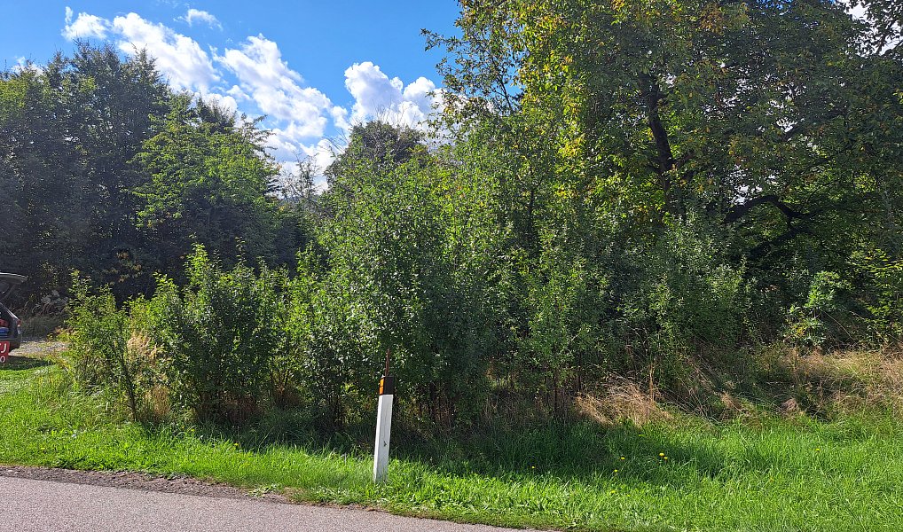 Prodej stavebního pozemku 3 619 m², Nemojov – náhled fotky 18