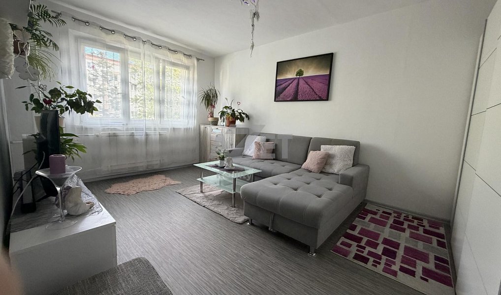Prodej bytu 2+1 58 m², Ostrava – náhled fotky 5