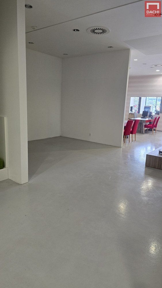 Pronájem obchodních prostor 300 m² — photo 5