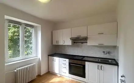 Pronájem bytu 1+1 30 m², Lesní, Most