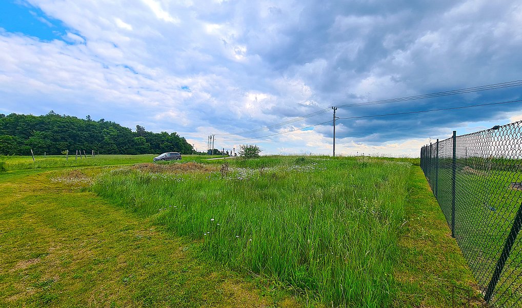 Prodej stavebního pozemku 755 m², Ruprechtov – náhled fotky 2