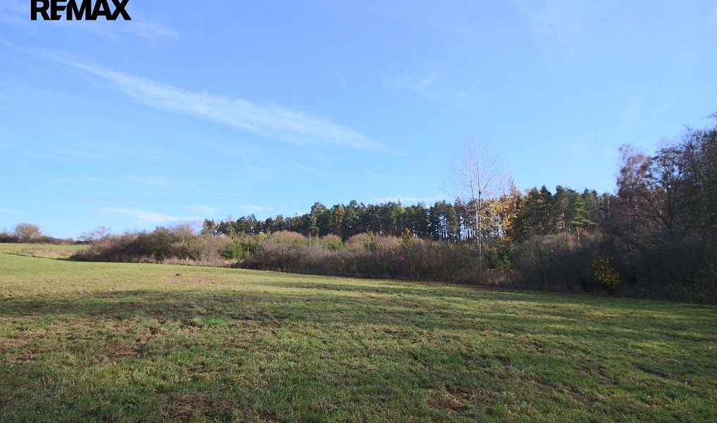 Prodej lesa 19 636 m², Břežany – náhled fotky 3