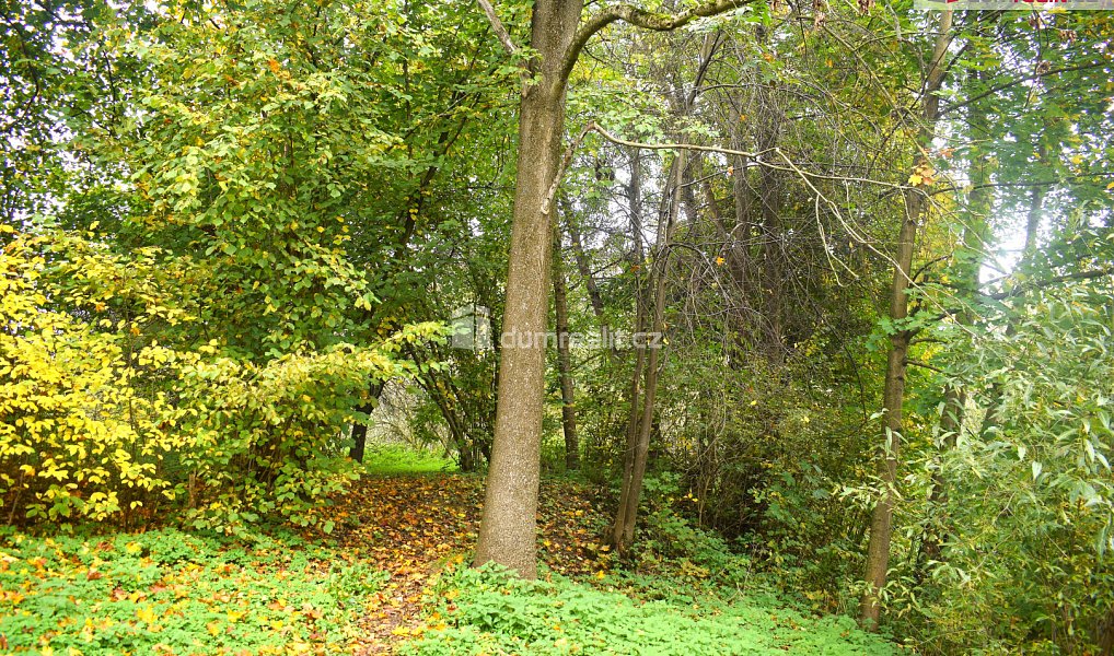 Prodej stavebního pozemku 1 535 m², Benešov – náhled fotky 5