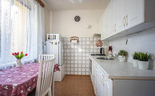 Pronájem bytu 2+1 55 m², Josefa Hory, Beroun - Beroun-Město