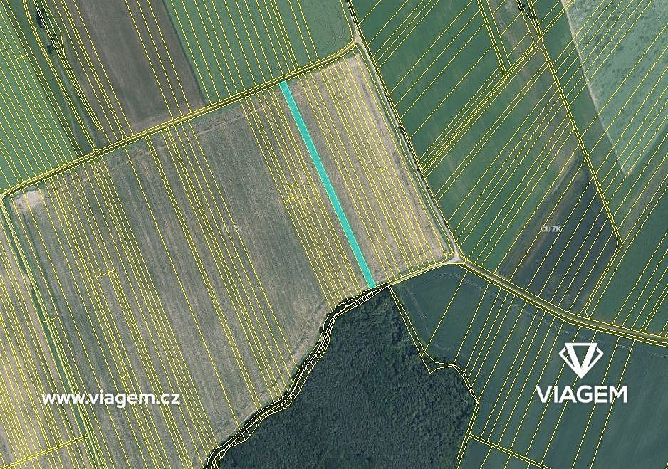 Prodej pole 453 m² – fotografie 3