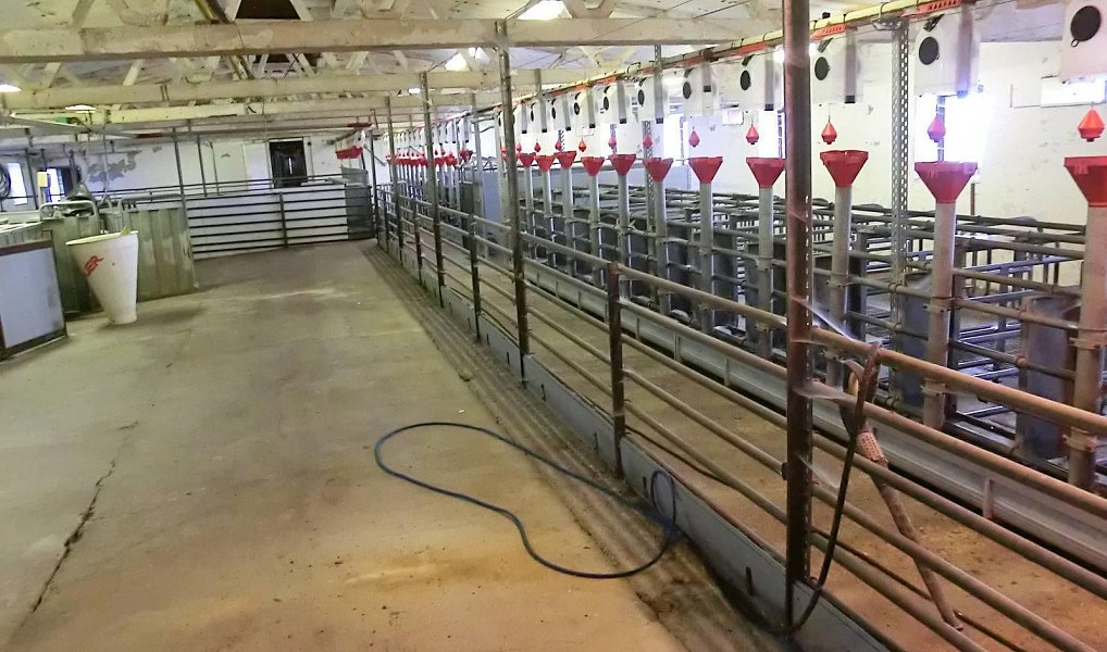 Prodej zemědělského objektu 2 000 m², Majdalena – náhled fotky 10